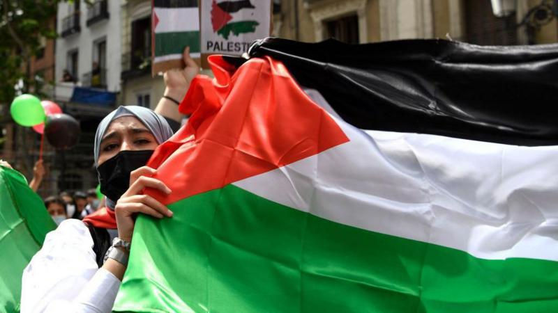 Испания и Ирландия вслед за Норвегией объявили о признании Палестины