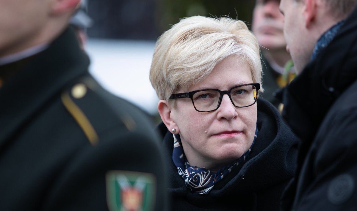 Литва готова отправить военных на Украину в рамках тренировочной миссии