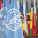 В Риме проходит конференция ФАО: Молдова выступает принимающей стороной