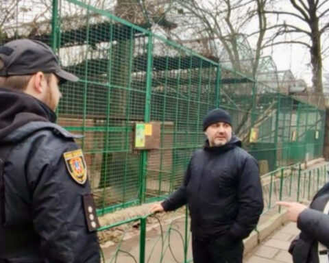 В зоопарке Одессы леопард напал на человека