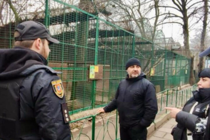 В зоопарке Одессы леопард напал на человека