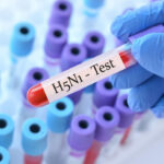 ВОЗ: Птичий грипп не станет эпидемией