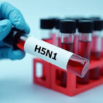 Ученые бьют тревогу по поводу мутации вируса H5N1: "Продолжает показывать новые трюки"