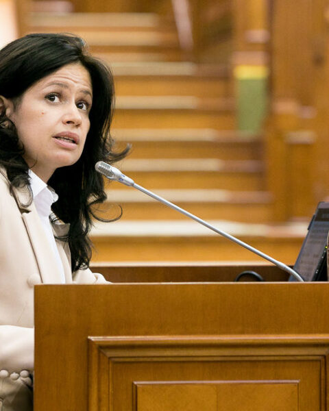 Проект закона об амнистии с трибуны парламента