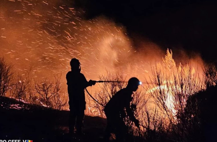 Афинский пригород эвакуирован из-за лесных пожаров