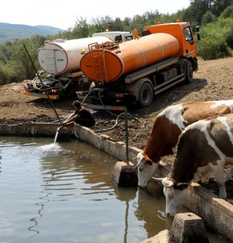 Экстремальная жара в Юго-Восточной Европе: туристы покидают курорты из-за высоких температур