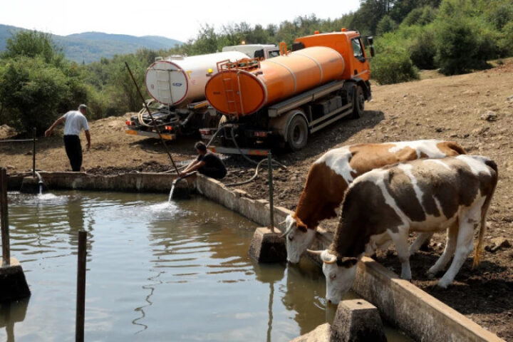 Экстремальная жара в Юго-Восточной Европе: туристы покидают курорты из-за высоких температур