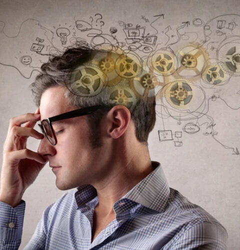 Как молочные продукты влияют на наш интеллект?