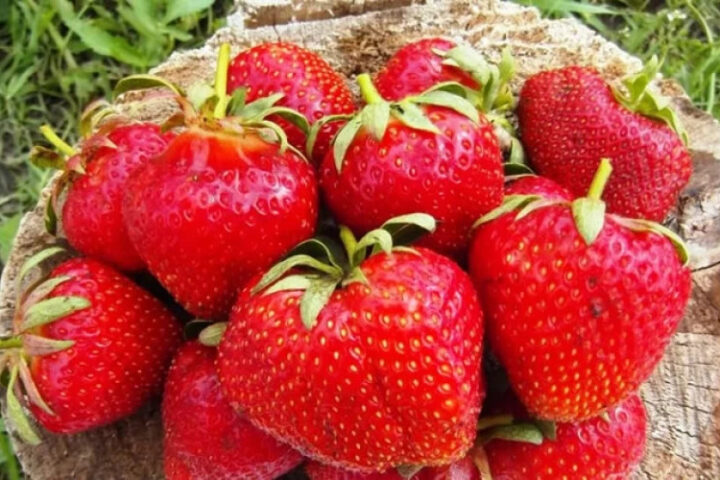 Клубничная диета: секрет легкости дыхания!