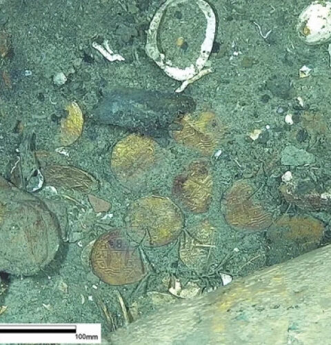 На Карибах обнаружены сокровища затонувшего корабля, найденного спустя сотни лет