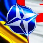 НАТО не обещает Украине и Грузии членство на саммите в Гааге