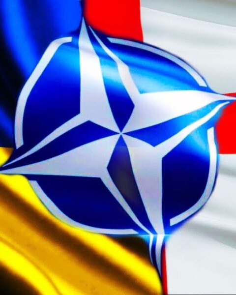 НАТО не обещает Украине и Грузии членство на саммите в Гааге