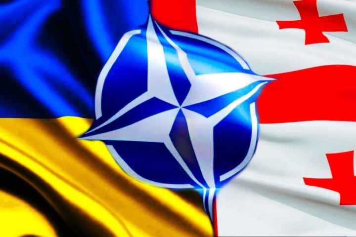 НАТО не обещает Украине и Грузии членство на саммите в Гааге