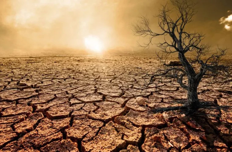 Площадь засушливых районов мира удvoилась
