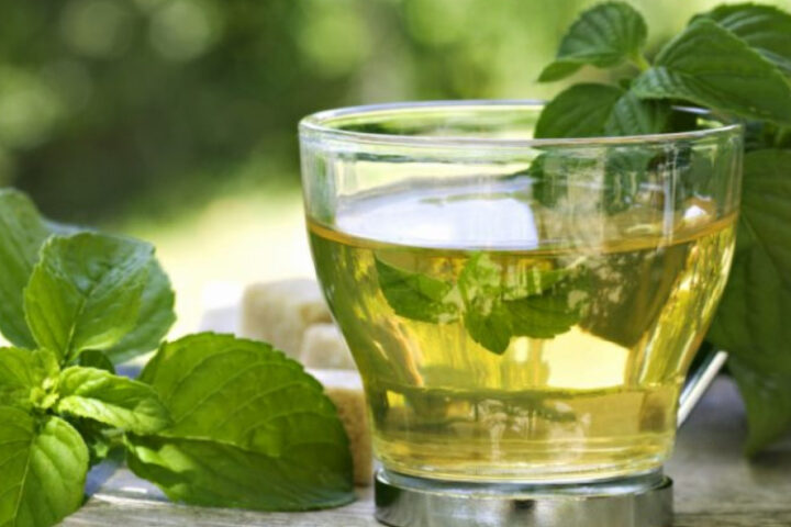 Полезные качества чая из базилика