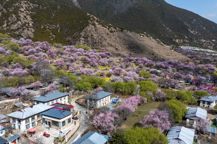 Си Цзиньпин призвал к укреплению национального единства