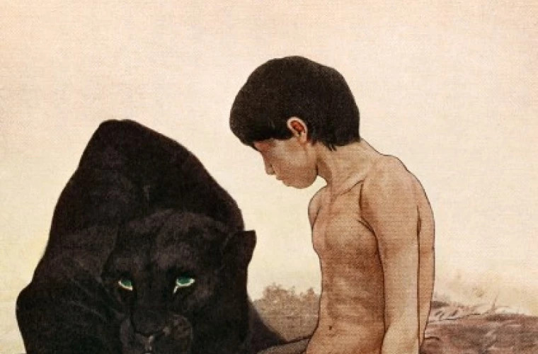 Старинные иллюстрации из антикварной лавки оцениваются в огромное состояние