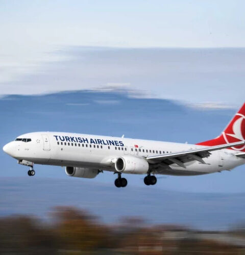 Turkish Airlines приостановила рейсы в несколько стран