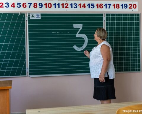 Учителя без профильного образования, но с опытом работы, могут запросить сертификат признания