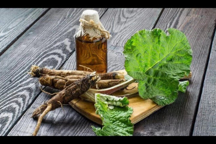 Удивительные секреты лопуха, о которых вы не догадывались!