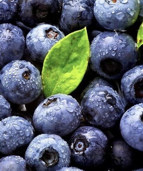 Ягоды — важная отрасль экономики, а их заморозка стимулирует экспорт, эксперт