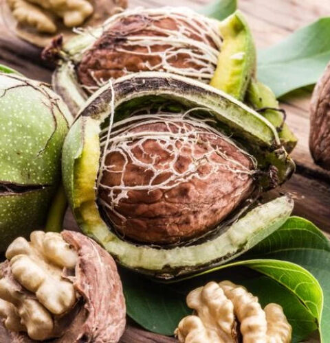 10 убедительных причин включить орехи в свой ежедневный рацион