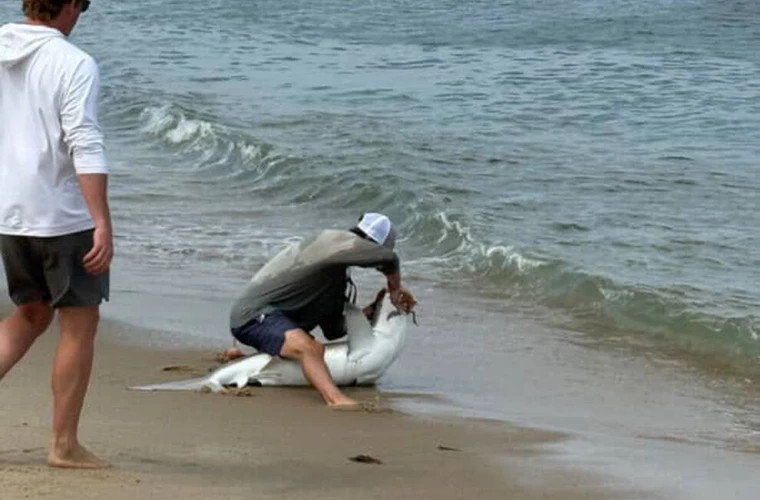 Американца укусила акула, которую он поймал, забыв об осторожности