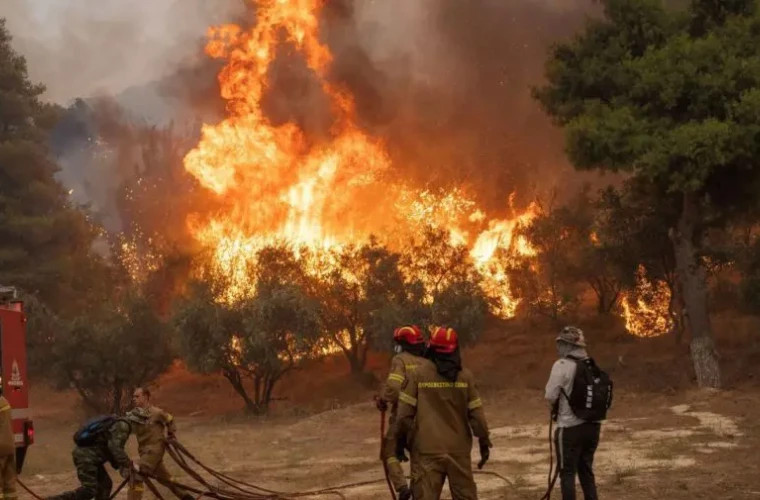 Более 18 тысяч человек оказались в изоляции из-за лесных пожаров в Каталонии