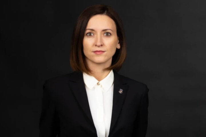 Драгалин поздравил коллег с успешным задержанием Плахотнюка