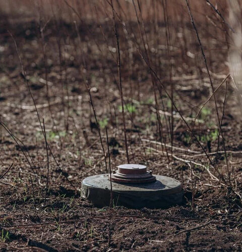 Финляндия покинула конвенцию о запрете противопехотных мин