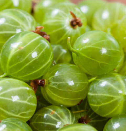 Фрукт, который обходит апельсин по содержанию витамина C в 20 раз!