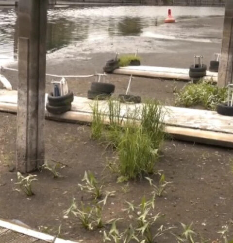 Из-за засухи один из речных портов Германии приостановил свою работу.