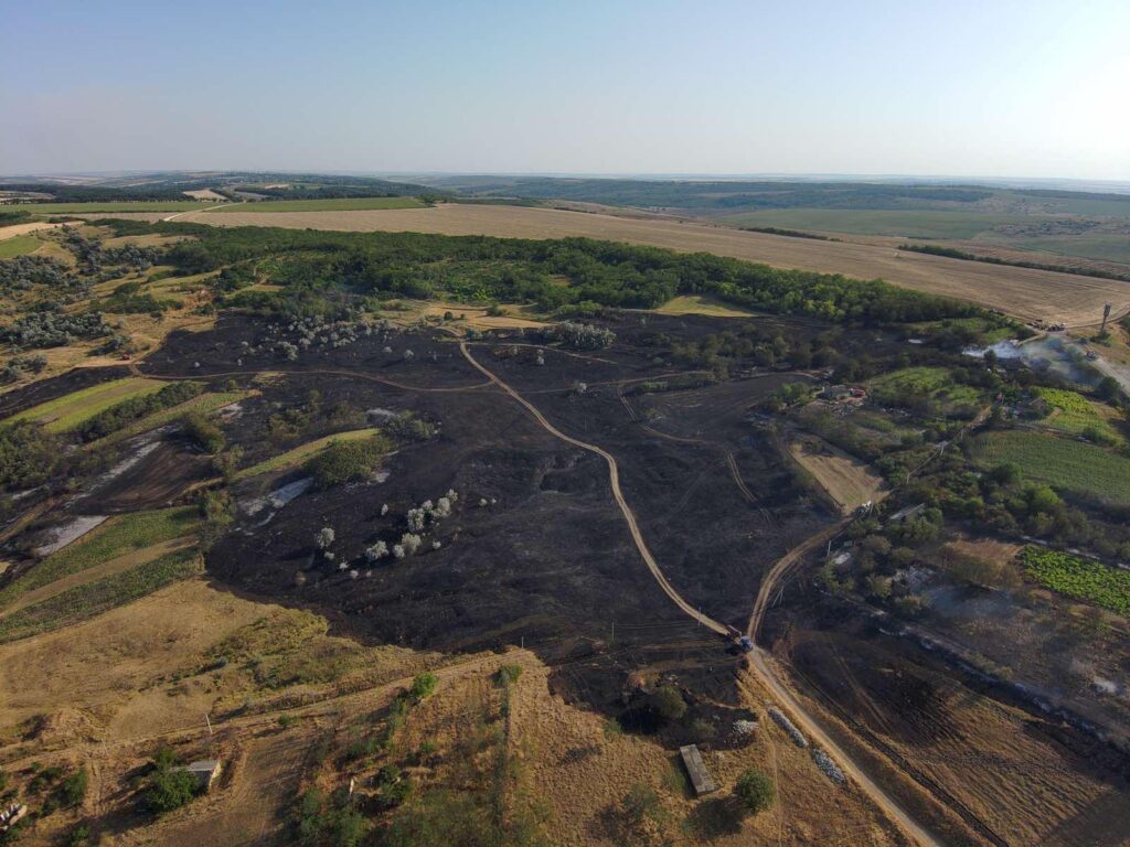 Масштабный пожар в Каушанском районе уничтожил 25 гектаров травы и три заброшенных дома
