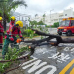 Падение деревьев и эвакуация людей: тайфун Вифа принёс в Гонконг сильные дожди