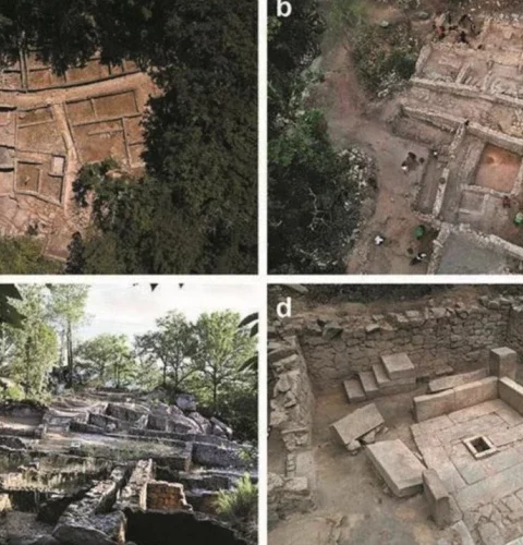 Первоначальные археологи в Древнем Риме: открытие окаменелости и её использование