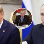 Песков: встречи Путина с Трампом и Эрдоганом не запланированы