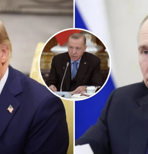 Песков: встречи Путина с Трампом и Эрдоганом не запланированы