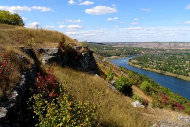 Погружение в природу: обновите свою связь с миром вокруг!