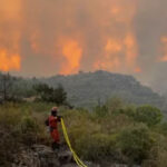 Пожар в центральной Испании уничтожил более 500 гектаров лесов