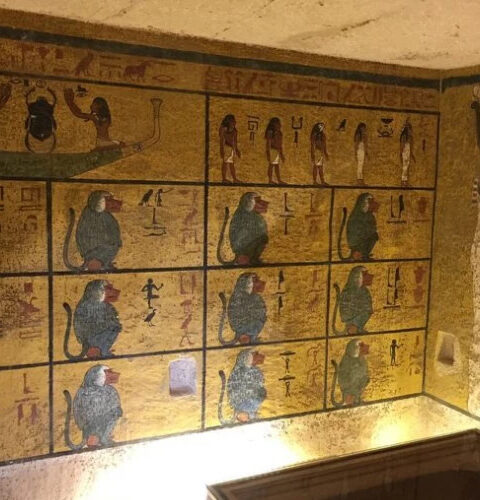 «Проклятие Тутанхамона» превращается в лекарство: смертельный гриб помогает в борьбе с лейкемией