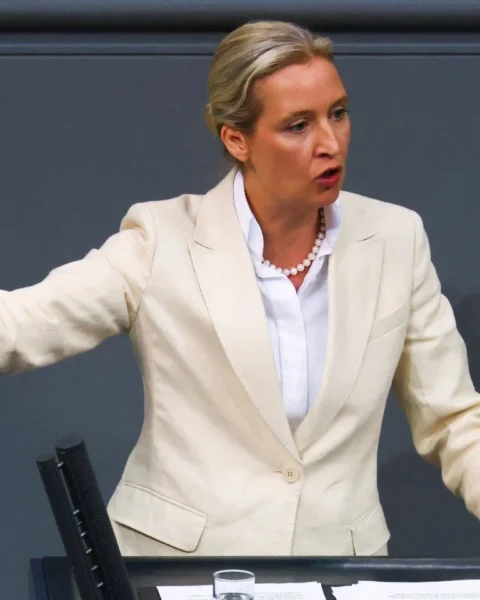 Протест в Берлине сорвал интервью лидера AfD: партия требует повторной трансляции