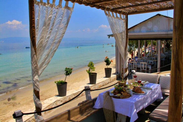 Санитарные нарушения в ресторанах Румынии: инспекторы выявили просроченные продукты и антисанитарные условия