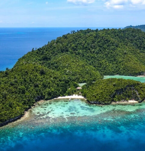 Сильное землетрясение у берегов Индонезии