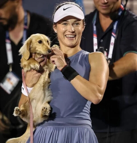 Собака теннисистки Анны Калинской вышла на корт после победы в Вашингтоне