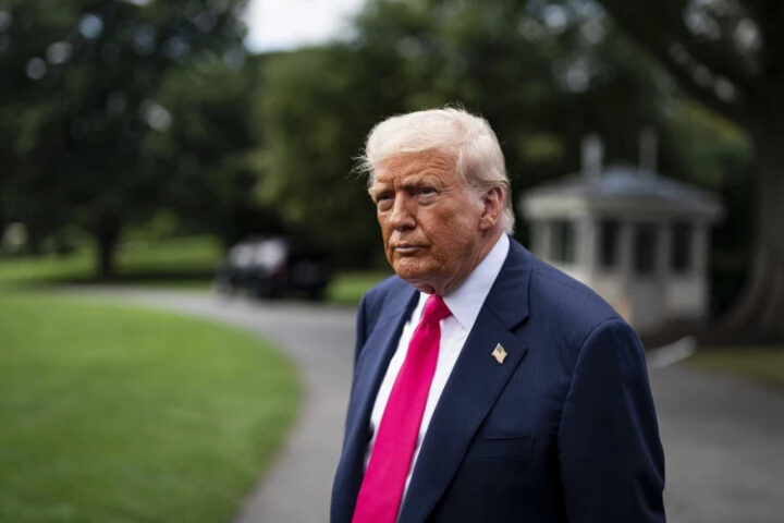 Трамп обвиняет инициативу FireAid в мошенничестве из-за пропажи 100 миллионов долларов