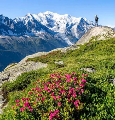 Ученые Warn о нарастающей угрозе землетрясений в Альпах