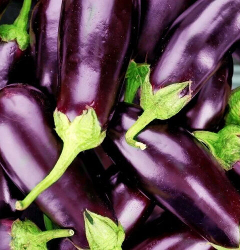 Удивительные факты о кожуре баклажана, которые вы не знали!