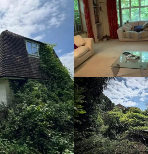 В Лондоне найден заброшенный особняк стоимостью 1 млн фунтов с загадочной историей