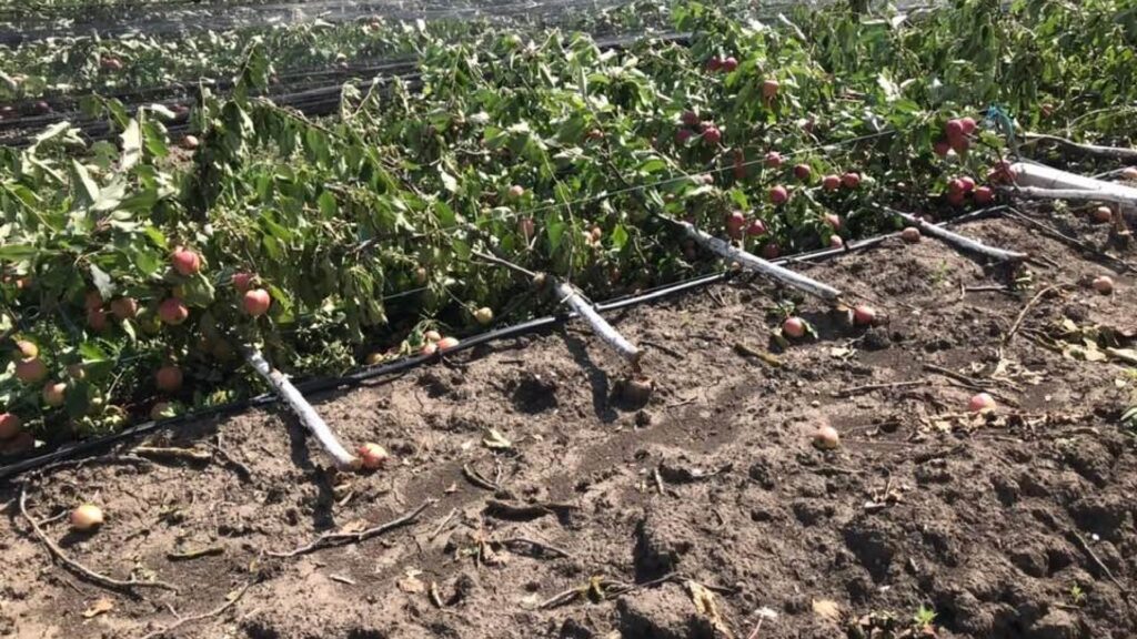 В Молдове обсуждают снижение тарифов на электроэнергию из-за низких закупочных цен