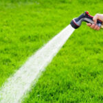 В Великобритании запрещено использование поливочных шлангов в жаркую погоду